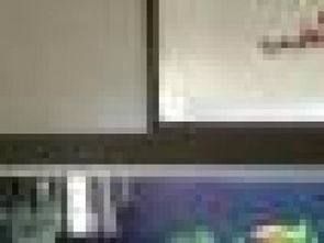 圖 森鑫淼水族服務公司,魚缸水族箱清洗 天津?qū)櫸锓? class=