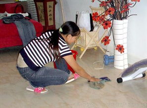 專業清潔服務，打造潔凈舒適的家居環境